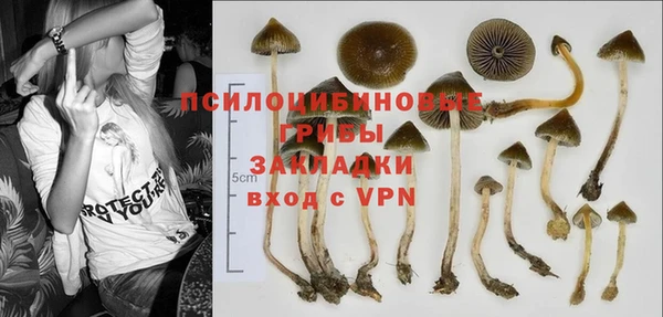 гидропоника Балахна