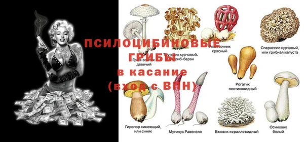 спиды Протвино