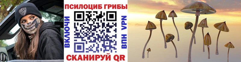 Псилоцибиновые грибы мицелий Волжск